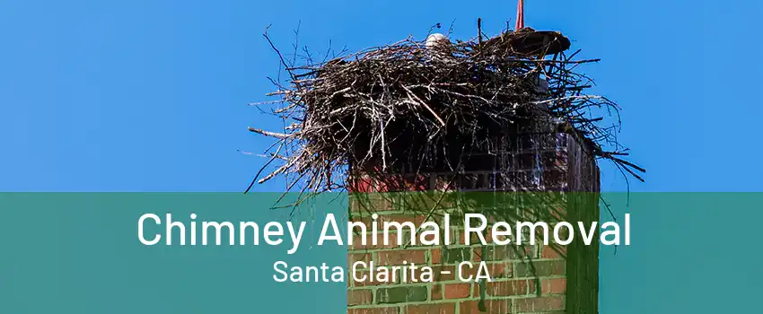 Chimney Animal Removal Santa Clarita - CA