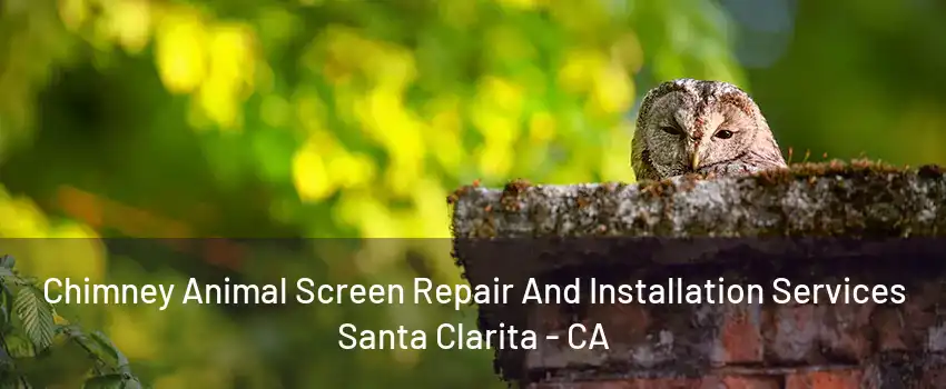 Chimney Animal Screen Repair And Installation Services Santa Clarita - CA