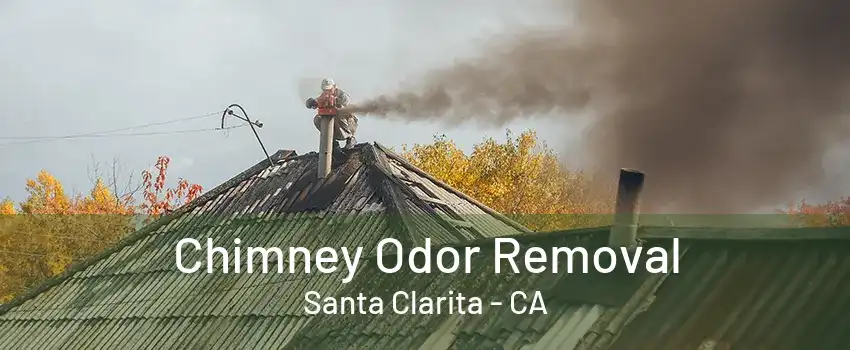 Chimney Odor Removal Santa Clarita - CA