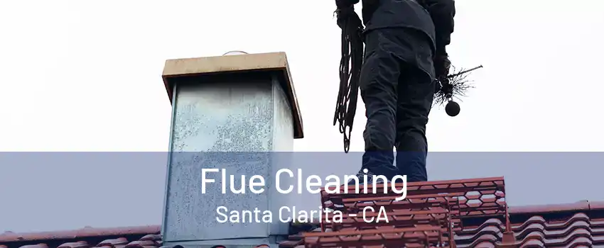 Flue Cleaning Santa Clarita - CA