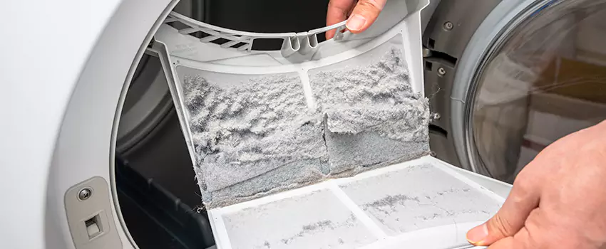 Best Dryer Lint Removal Company in Santa Clarita, California